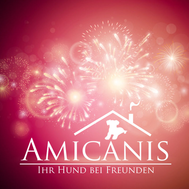 silvester