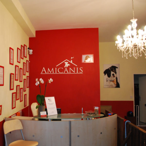 Foto da galeria de AMICANIS