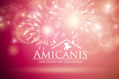 Amicanis_Silvester_400